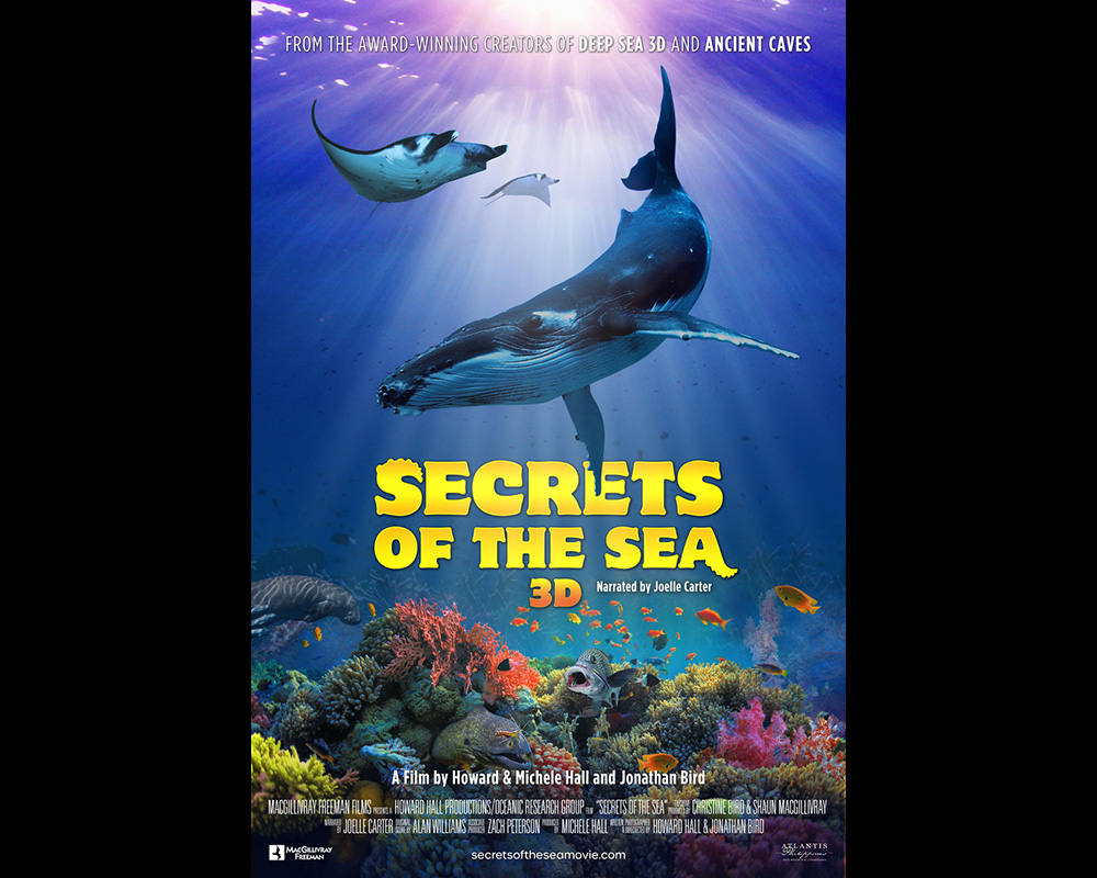 Deep Blue Ocean Movie